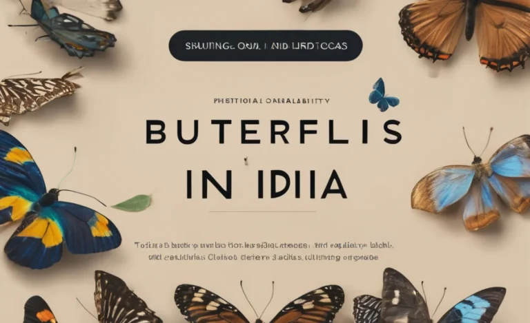 Butterflies in Coastal India: A Stunning Guide
